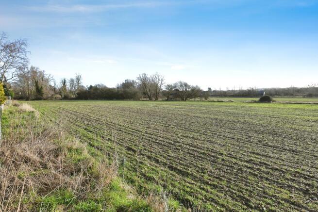 Field Views