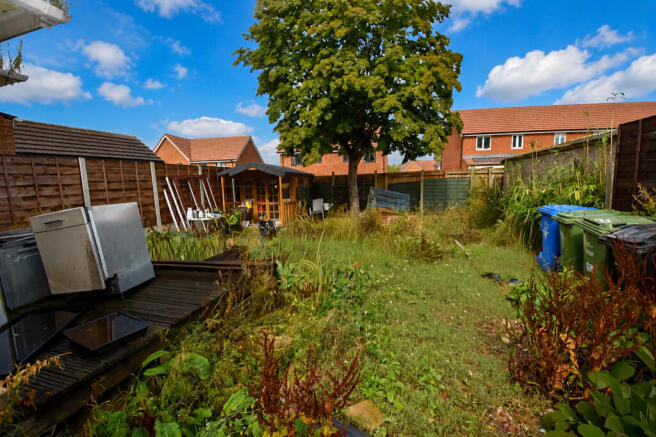 Garden (2)