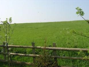 Backs onto fields