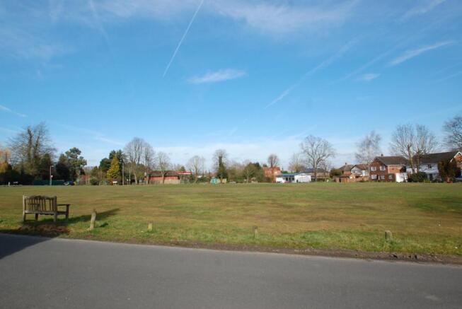 View over green