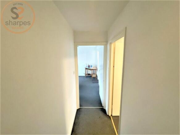 20240223161032001_original