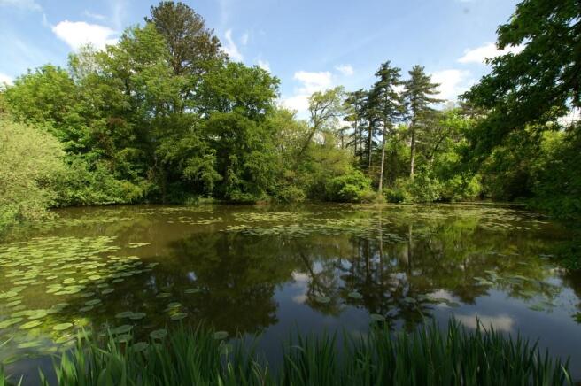 Boating Lake