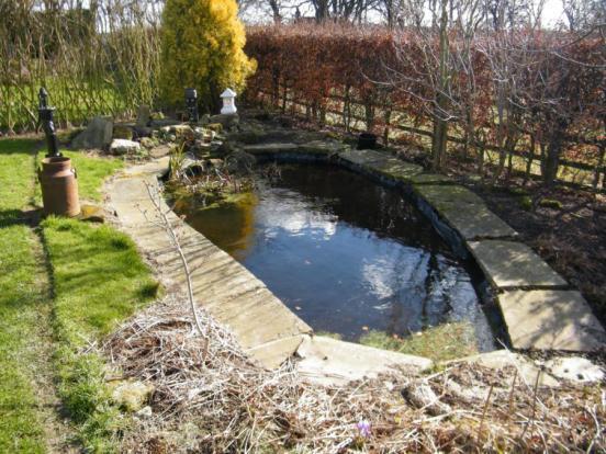 Pond