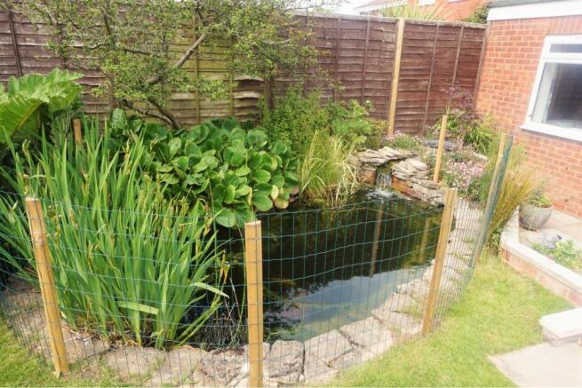 Pond