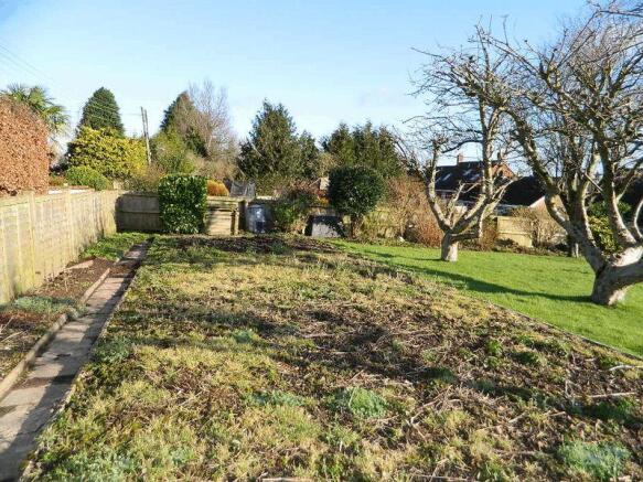Vegetable Garden