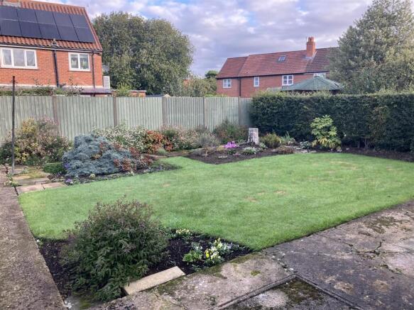 back garden autumn.jpg