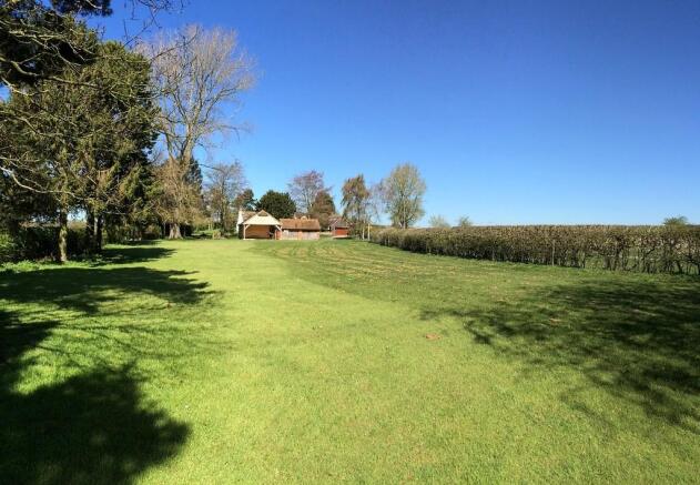 Top Paddock
