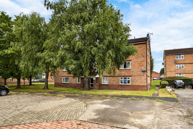 Front (2)