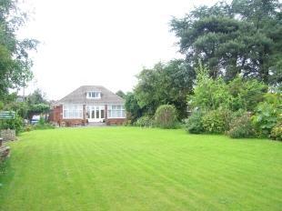 Rear Elevation
