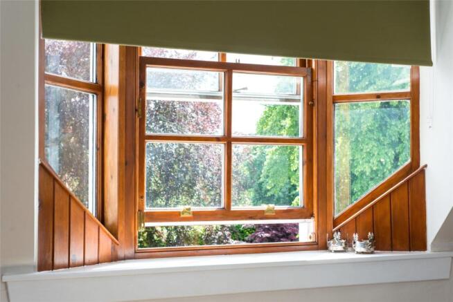 Window