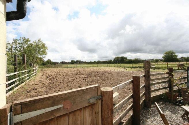 Sand Paddock