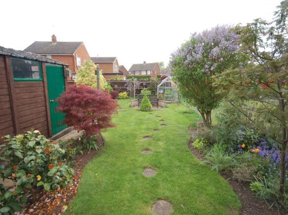 Image 20