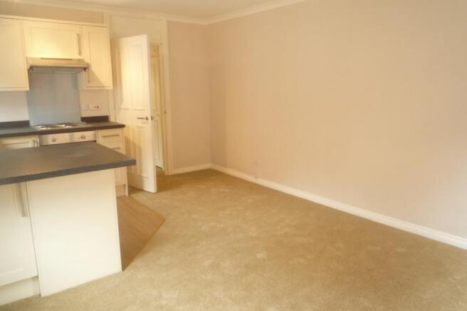 Kitchen Area 1