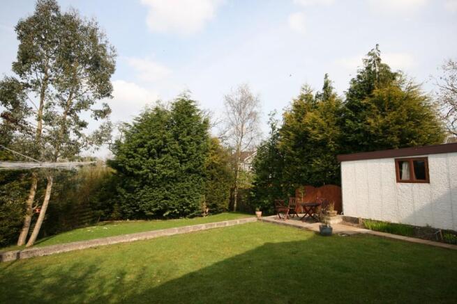 Rear garden 2