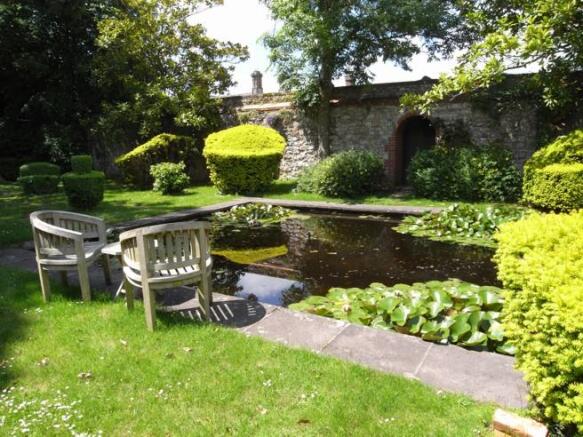 The lily pond