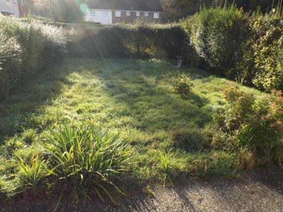 Front Garden