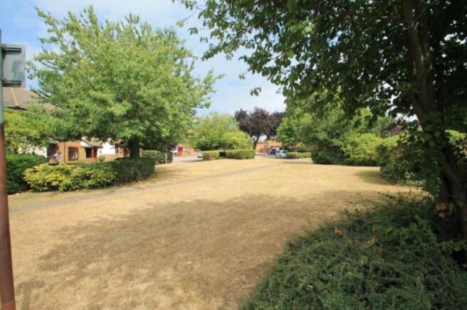 Surrounding Area