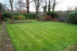Garden angle 2