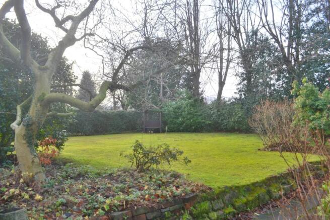 garden 1