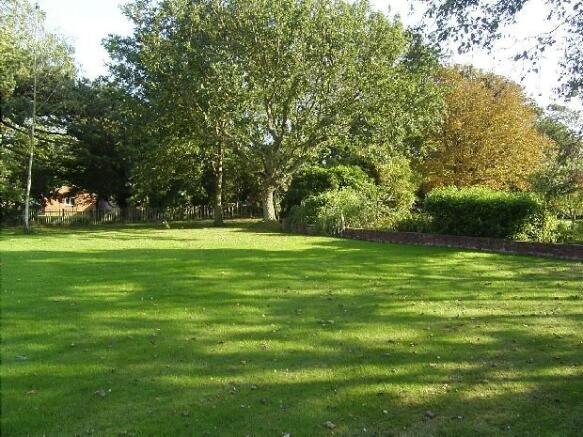 Garden Pic 5