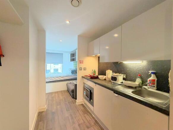 Open plan living / kitchen / bedroom