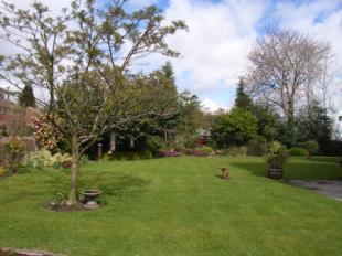 Communal Garden