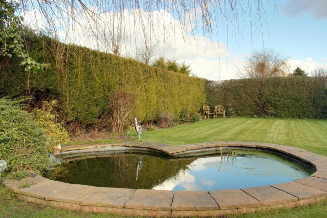 Garden at Back