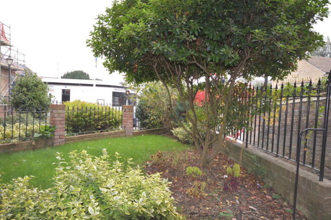 Photo 11