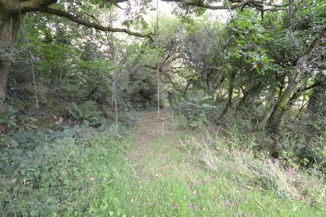 Woodland and gardens