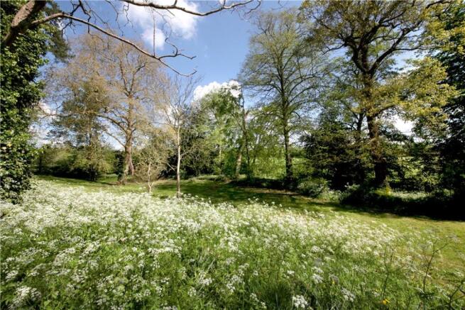 Meadow