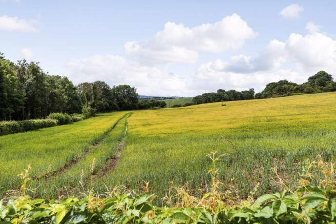 Countryside View