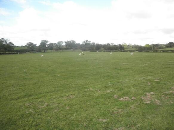 Adjoining Field