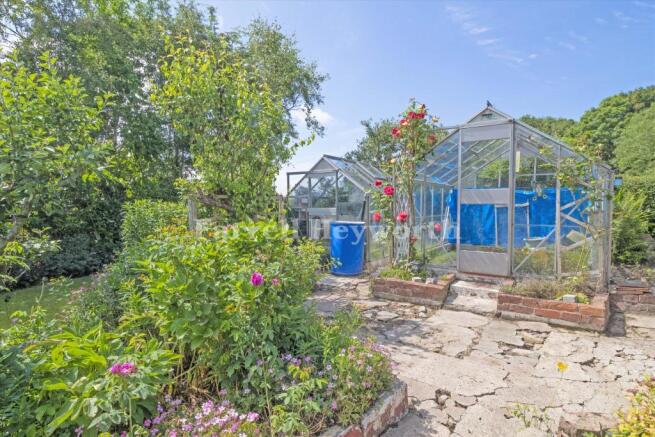 Garden 2