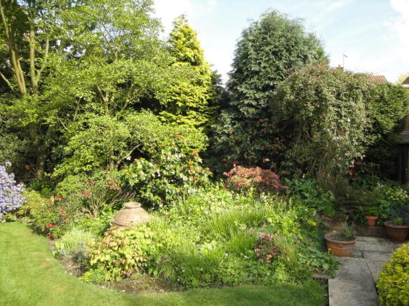 Garden in Summer