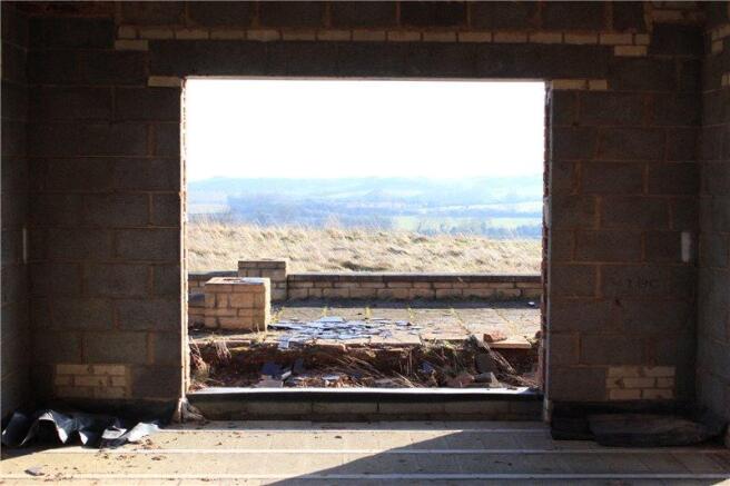 Picture 3