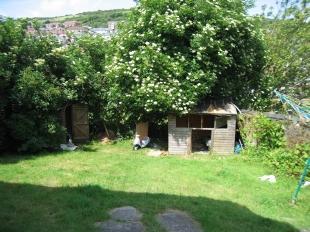 Side Garden