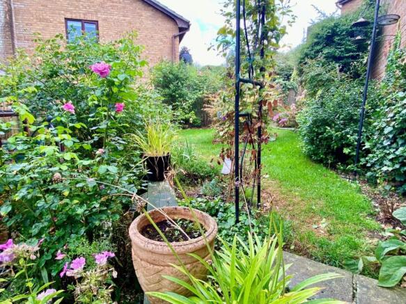 garden2.jpg