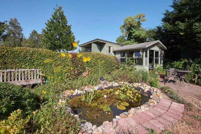 Pond Summer