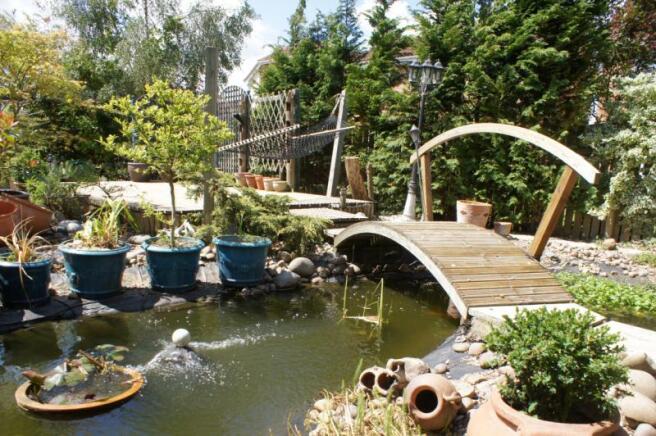 Pond