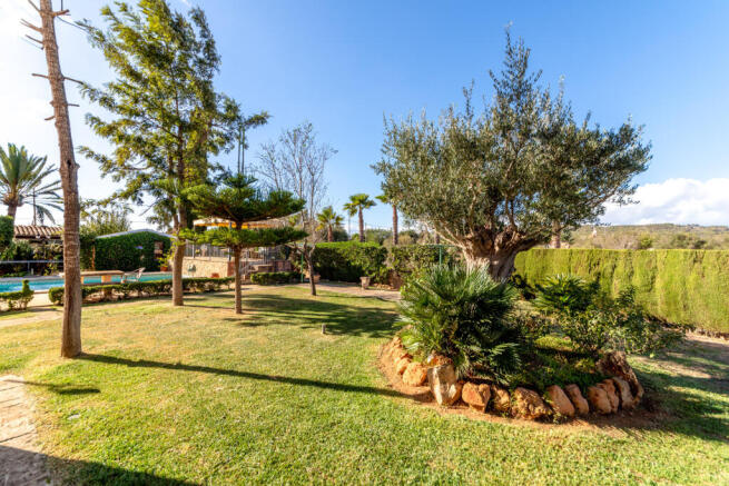 Garden next to the pool