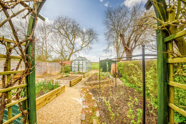 Vegetable Garden
