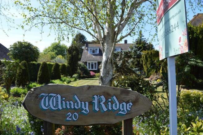 Windy Ridge 2.JPG