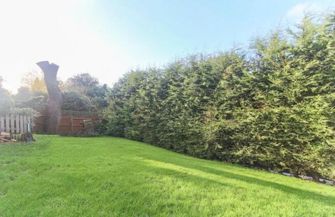 Garden 3