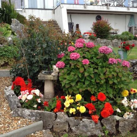 Flower border in ...