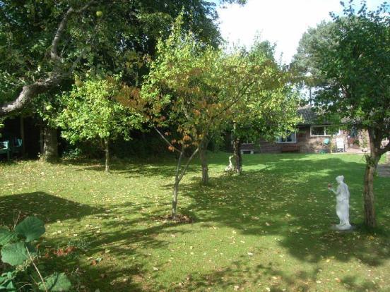 Garden 1