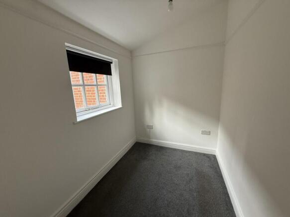 3 Medium T202609231615.jpg