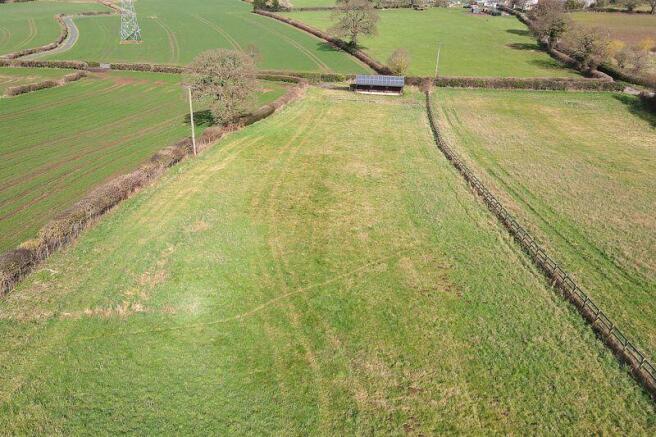 Rear Paddock