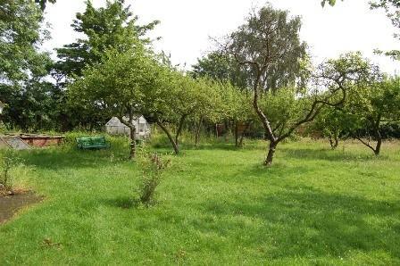 Orchard