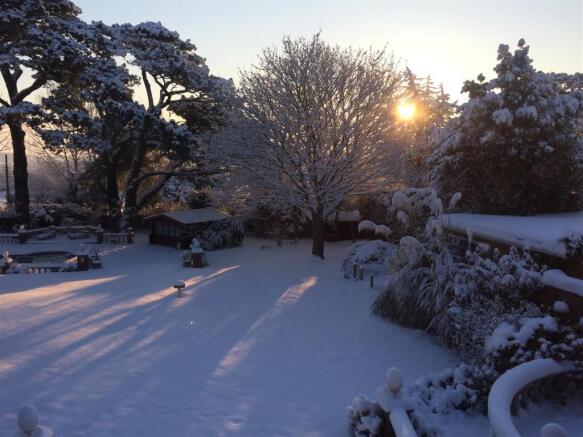 snow garden1.jpg