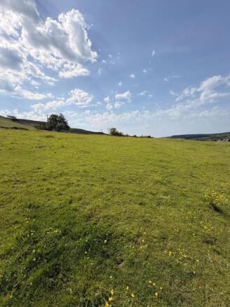 IMG_1431.JPEG
